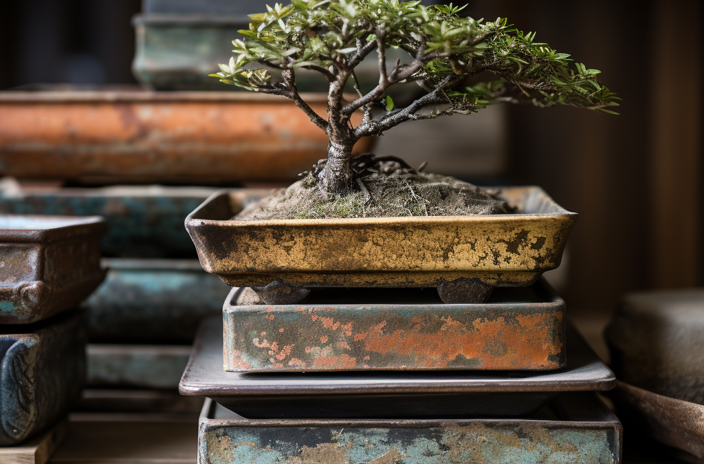 Bonsai pot colour guide