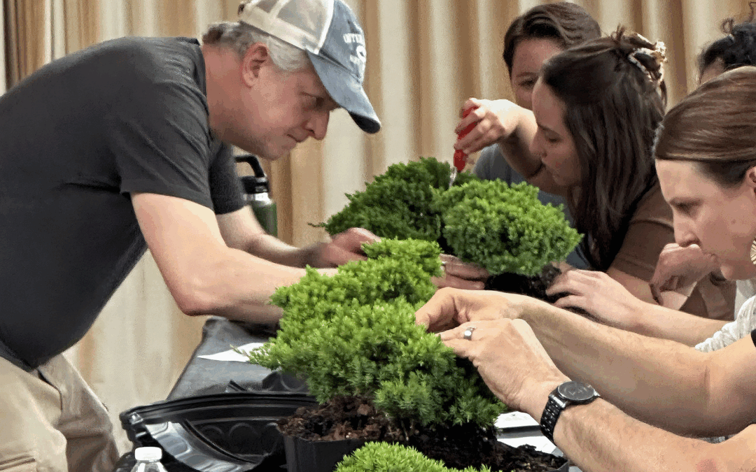 What to Expect at Your First Bonsai Workshop in Cary, NC