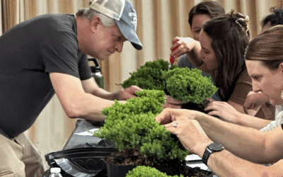 What to Expect at Your First Bonsai Workshop in Cary, NC
